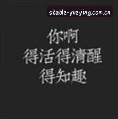赵雪